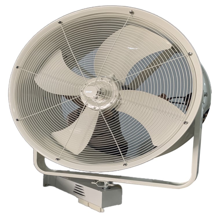 head_shaking_fan_2.jpg