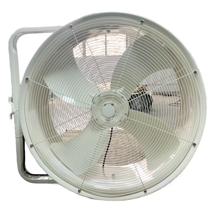 head_shaking_fan_5.jpg